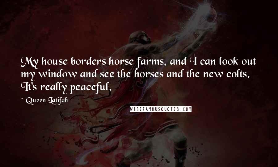 Queen Latifah quotes: My house borders horse farms, and I can look out my window and see the horses and the new colts. It's really peaceful.