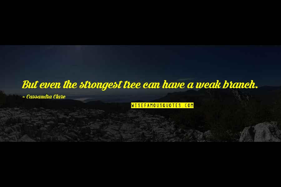 Quei Bravi Ragazzi Quotes By Cassandra Clare: But even the strongest tree can have a