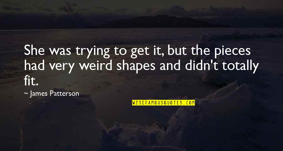 Quellin Quotes By James Patterson: She was trying to get it, but the Quellin Quotes By James Patterson: She was trying to get it, but the