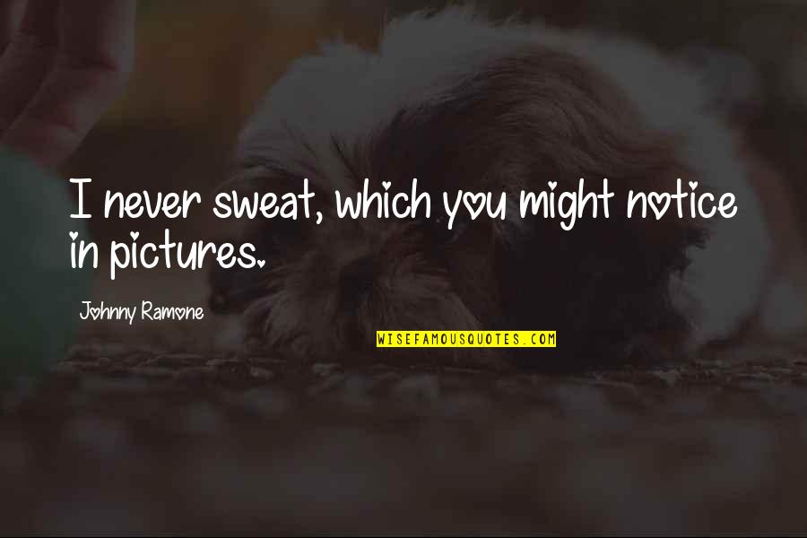 Quellion Mistborn Quotes By Johnny Ramone: I never sweat, which you might notice in Quellion Mistborn Quotes By Johnny Ramone: I never sweat, which you might notice in