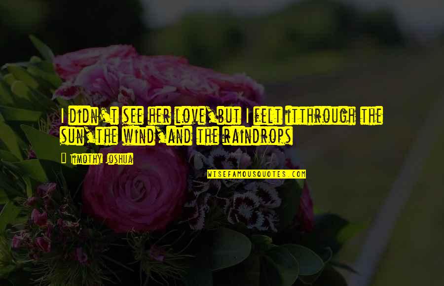Quemada Recipe Quotes By Timothy Joshua: I didn't see her love,but I felt itthrough