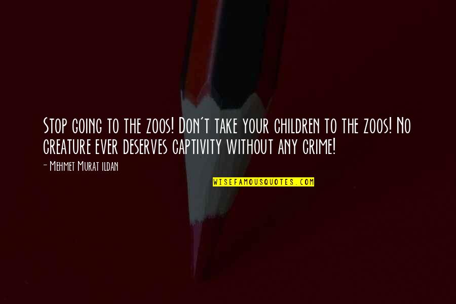 Quentin Willson Quotes By Mehmet Murat Ildan: Stop going to the zoos! Don't take your Quentin Willson Quotes By Mehmet Murat Ildan: Stop going to the zoos! Don't take your