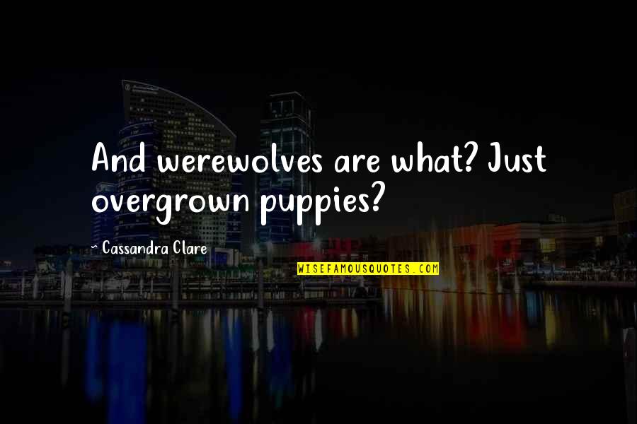 Questek Quotes By Cassandra Clare: And werewolves are what? Just overgrown puppies? Questek Quotes By Cassandra Clare: And werewolves are what? Just overgrown puppies?