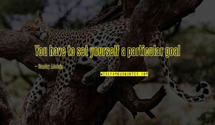 Questiion Quotes By Sunday Adelaja: You have to set yourself a particular goal Questiion Quotes By Sunday Adelaja: You have to set yourself a particular goal