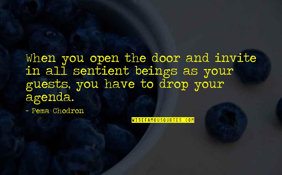 Quetzal Quotes By Pema Chodron: When you open the door and invite in Quetzal Quotes By Pema Chodron: When you open the door and invite in