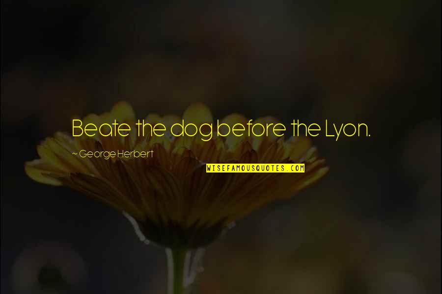 Qui Gon Jinn Obi Wan Kenobi Quotes By George Herbert: Beate the dog before the Lyon.