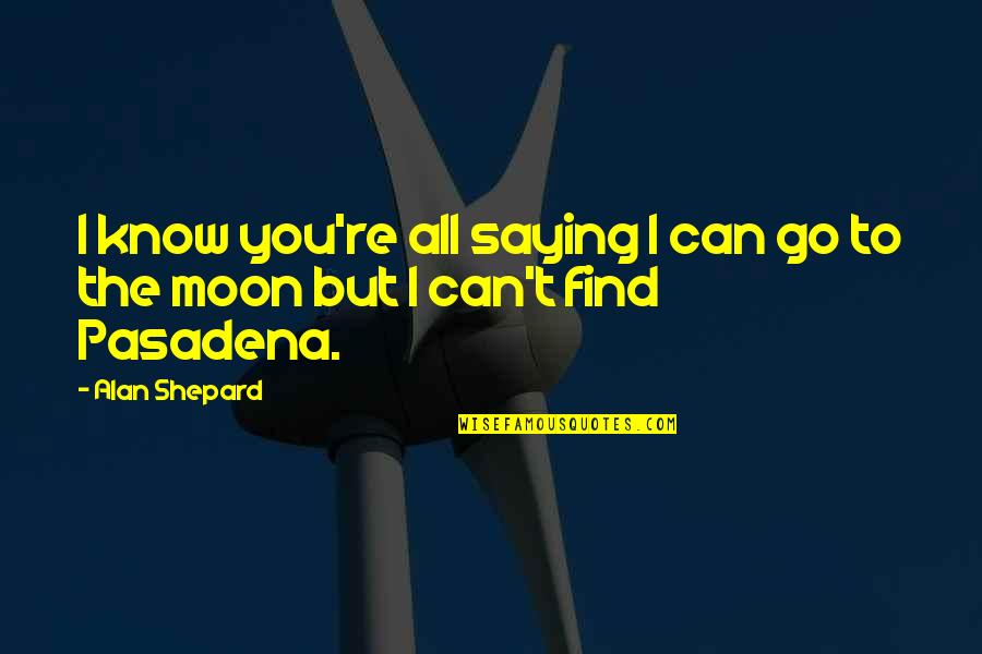 Quichotte Characters Quotes By Alan Shepard: I know you're all saying I can go