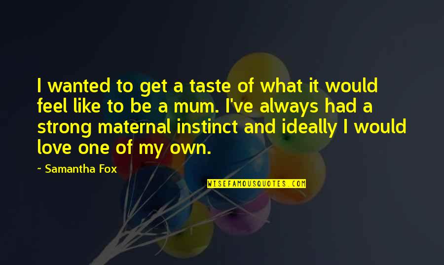 Quick Decisions Quotes By Samantha Fox: I wanted to get a taste of what