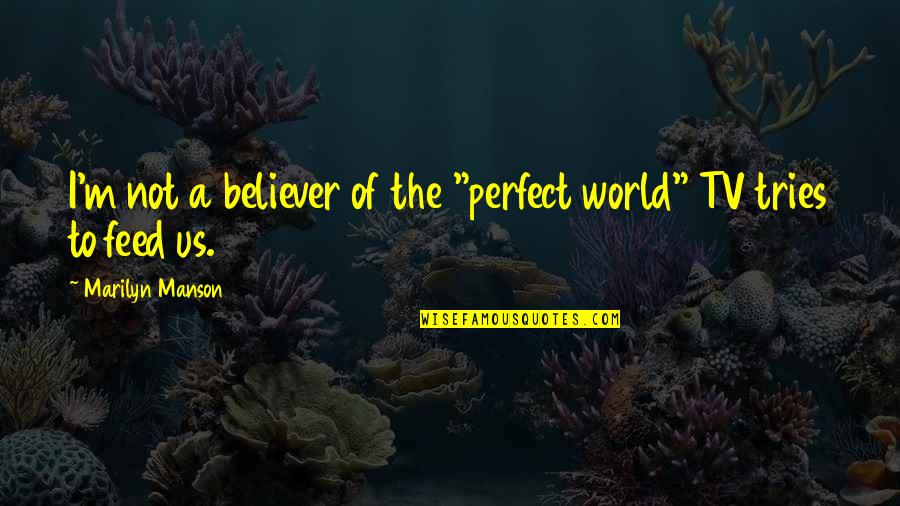 Quick Fixes Quotes By Marilyn Manson: I'm not a believer of the "perfect world"