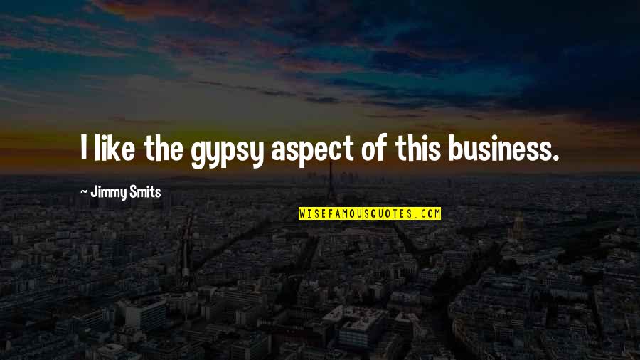 Quickbooks Customer Quotes By Jimmy Smits: I like the gypsy aspect of this business.