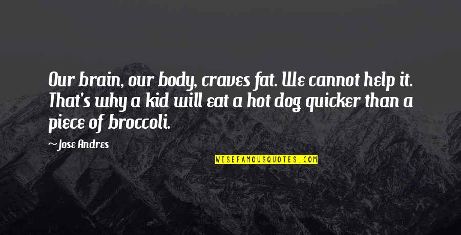Quicker Quotes By Jose Andres: Our brain, our body, craves fat. We cannot