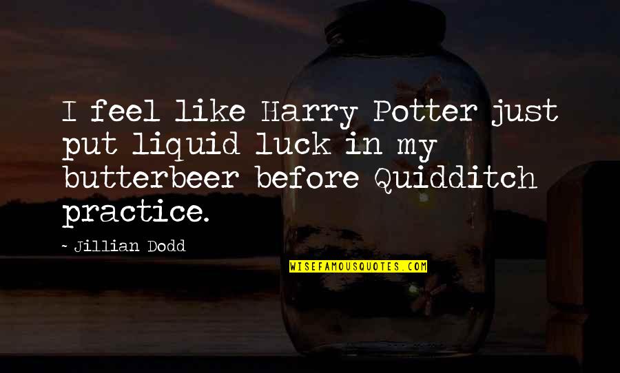 Quidditch Quotes By Jillian Dodd: I feel like Harry Potter just put liquid