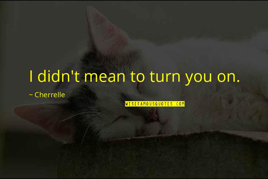 Quieras Quotes By Cherrelle: I didn't mean to turn you on. Quieras Quotes By Cherrelle: I didn't mean to turn you on.