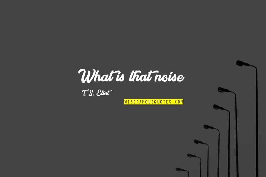 Quiero Decirte Quotes By T. S. Eliot: What is that noise?