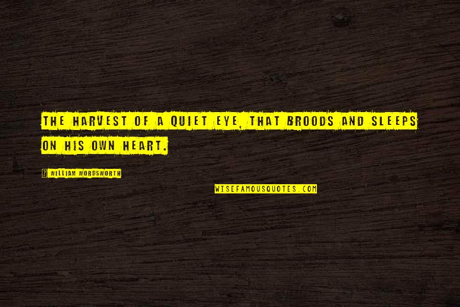 Quiet On Quotes By William Wordsworth: The harvest of a quiet eye, That broods Quiet On Quotes By William Wordsworth: The harvest of a quiet eye, That broods