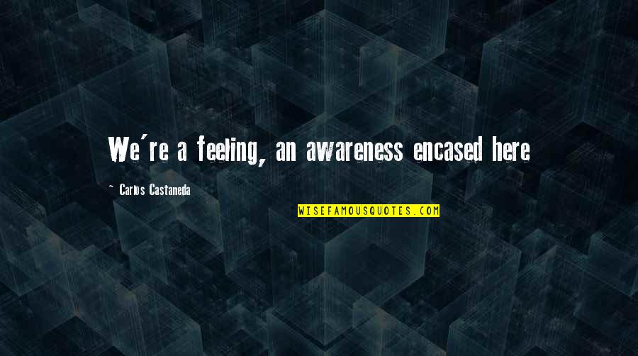 Quiet Time With God Quotes By Carlos Castaneda: We're a feeling, an awareness encased here