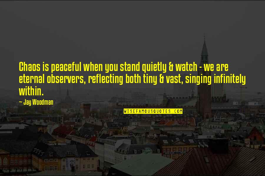 Quietness Quotes By Jay Woodman: Chaos is peaceful when you stand quietly &