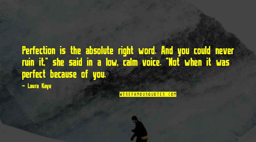 Quietnesse Quotes By Laura Kaye: Perfection is the absolute right word. And you