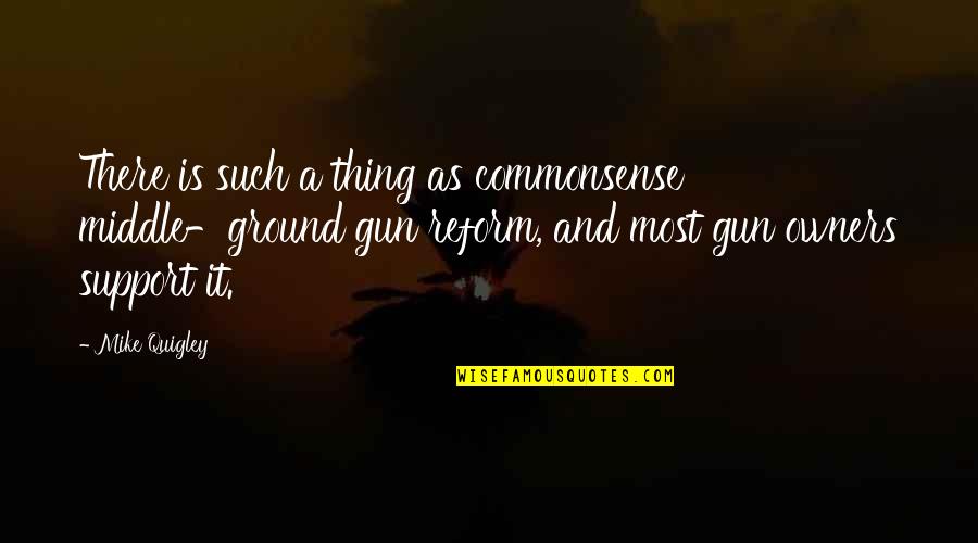 Quigley Quotes By Mike Quigley: There is such a thing as commonsense middle-ground Quigley Quotes By Mike Quigley: There is such a thing as commonsense middle-ground