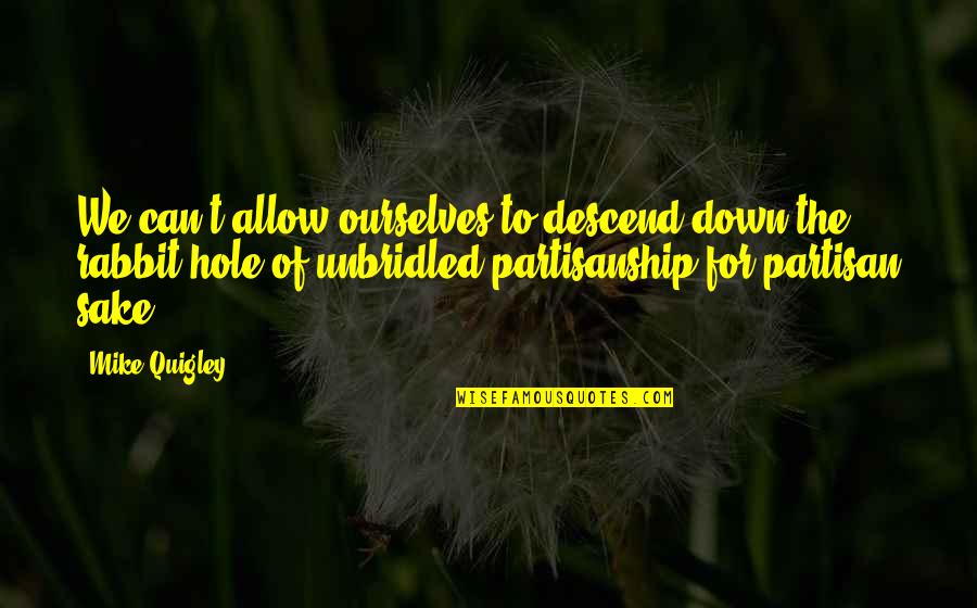 Quigley Quotes By Mike Quigley: We can't allow ourselves to descend down the