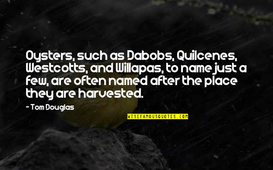 Quilcenes Quotes By Tom Douglas: Oysters, such as Dabobs, Quilcenes, Westcotts, and Willapas,