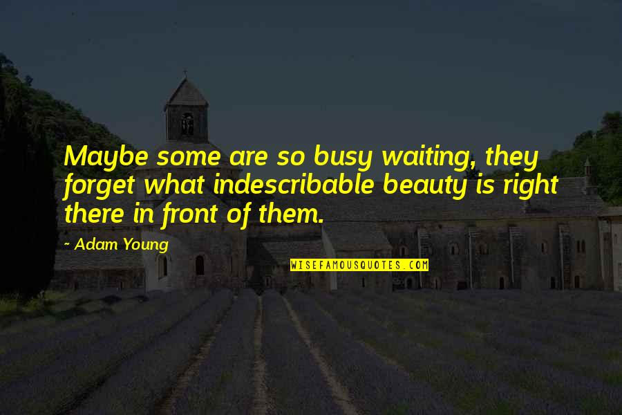 Quiles Taxidermy Quotes By Adam Young: Maybe some are so busy waiting, they forget Quiles Taxidermy Quotes By Adam Young: Maybe some are so busy waiting, they forget