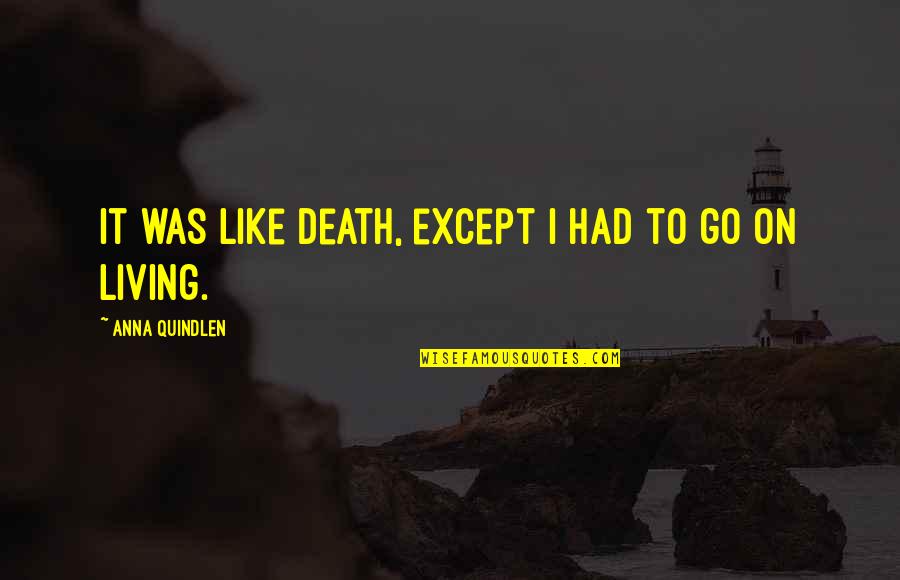 Quindlen Anna Quotes By Anna Quindlen: It was like death, except I had to Quindlen Anna Quotes By Anna Quindlen: It was like death, except I had to
