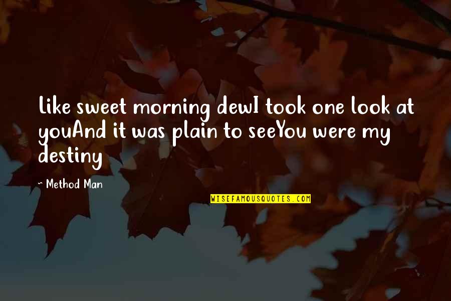 Quiniela Quotes By Method Man: Like sweet morning dewI took one look at