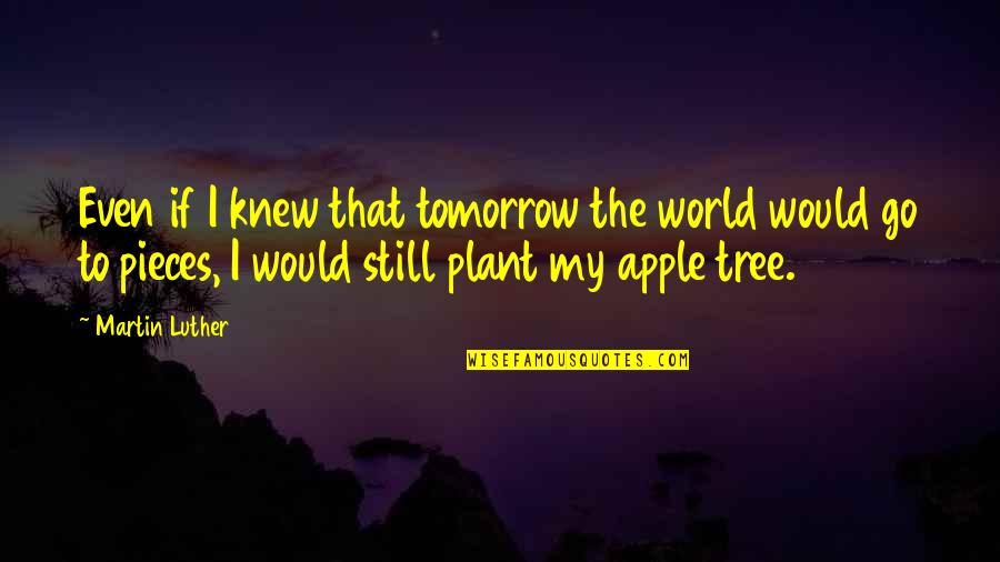Quinientos Sesenta Quotes By Martin Luther: Even if I knew that tomorrow the world