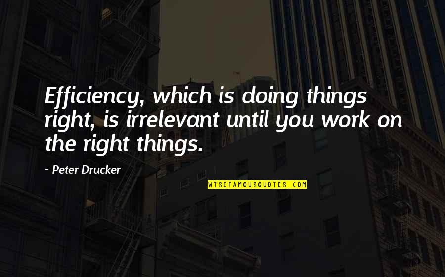 Quinlivan Kumiko Quotes By Peter Drucker: Efficiency, which is doing things right, is irrelevant Quinlivan Kumiko Quotes By Peter Drucker: Efficiency, which is doing things right, is irrelevant