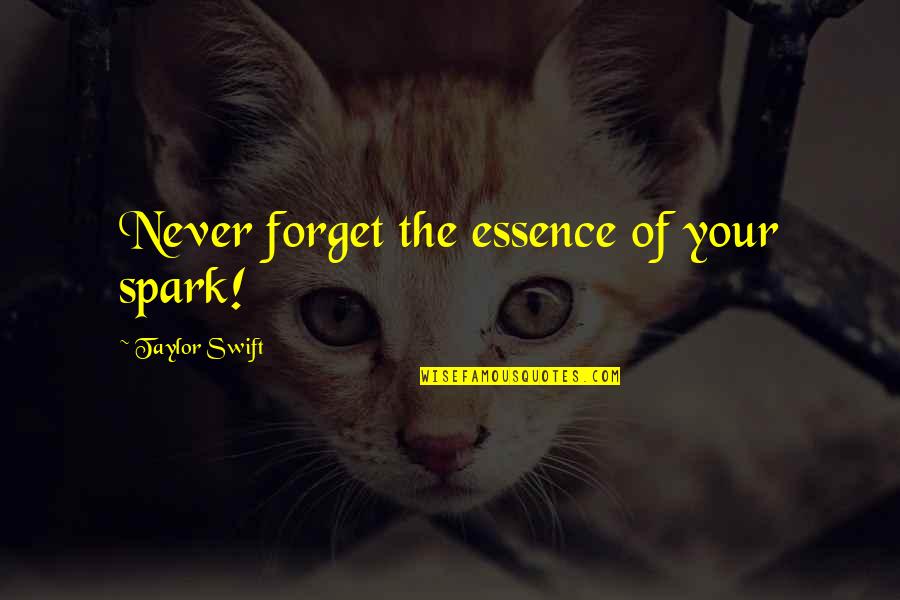 Quinnell House Quotes By Taylor Swift: Never forget the essence of your spark!