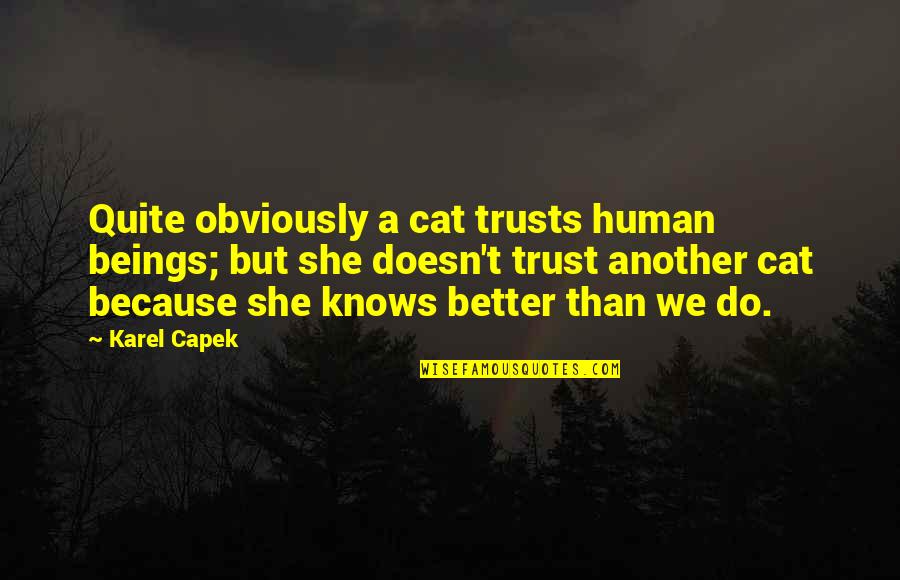 Quintet Quotes By Karel Capek: Quite obviously a cat trusts human beings; but Quintet Quotes By Karel Capek: Quite obviously a cat trusts human beings; but