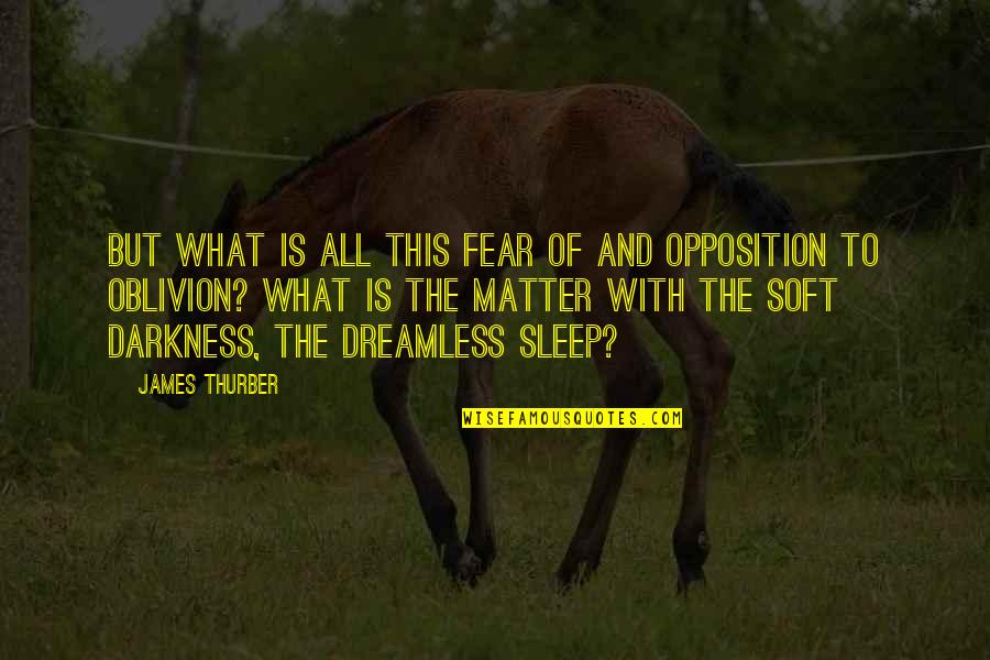 Quintillionths Quotes By James Thurber: But what is all this fear of and