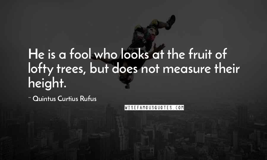 Quintus Curtius Rufus quotes: He is a fool who looks at the fruit of lofty trees, but does not measure their height.