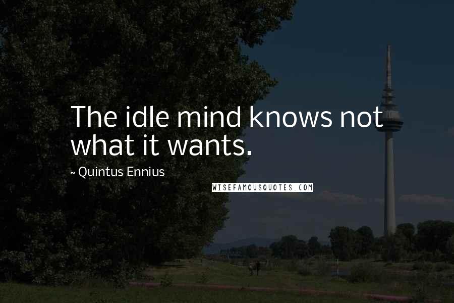 Quintus Ennius quotes: The idle mind knows not what it wants.