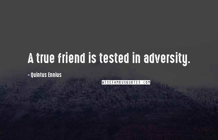 Quintus Ennius quotes: A true friend is tested in adversity.