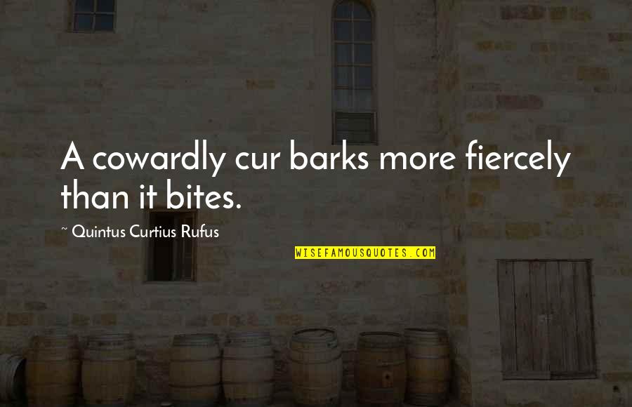 Quintus Quotes By Quintus Curtius Rufus: A cowardly cur barks more fiercely than it Quintus Quotes By Quintus Curtius Rufus: A cowardly cur barks more fiercely than it