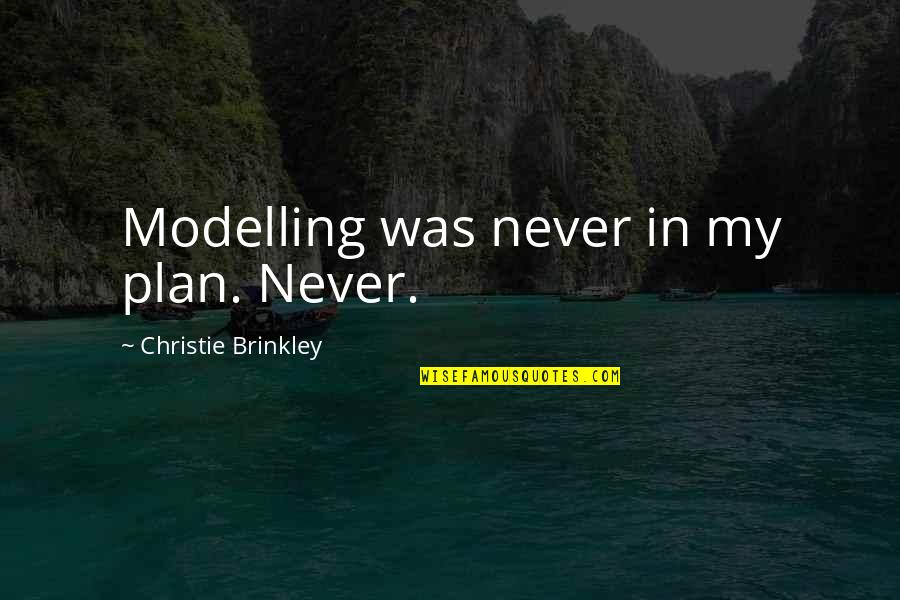 Quirky Pub Quotes By Christie Brinkley: Modelling was never in my plan. Never.