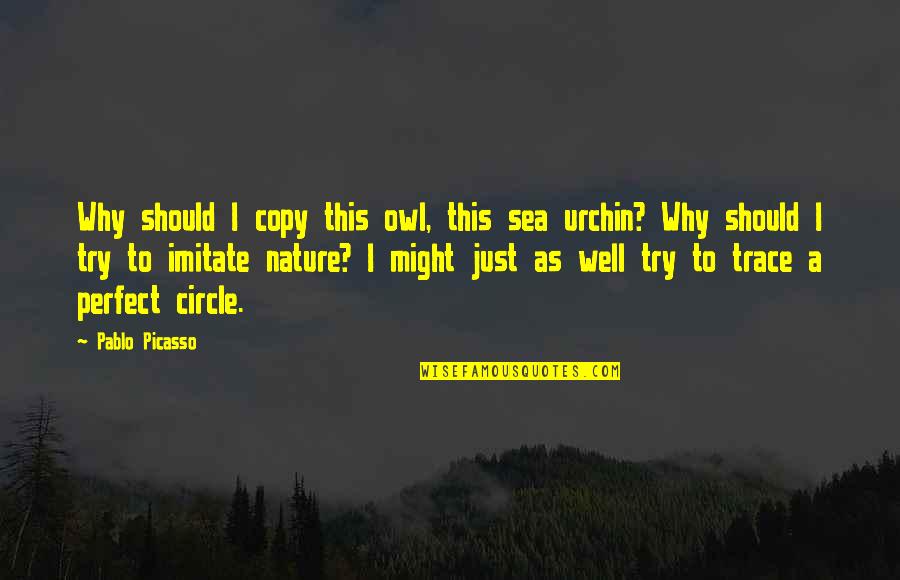 Quisessemos Quotes By Pablo Picasso: Why should I copy this owl, this sea