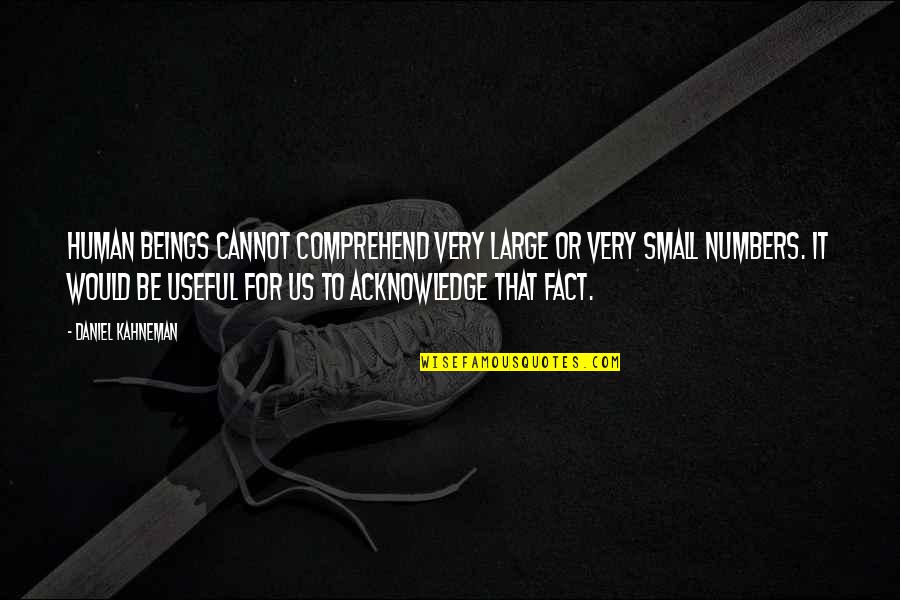 Quisieron Imitar Quotes By Daniel Kahneman: Human beings cannot comprehend very large or very