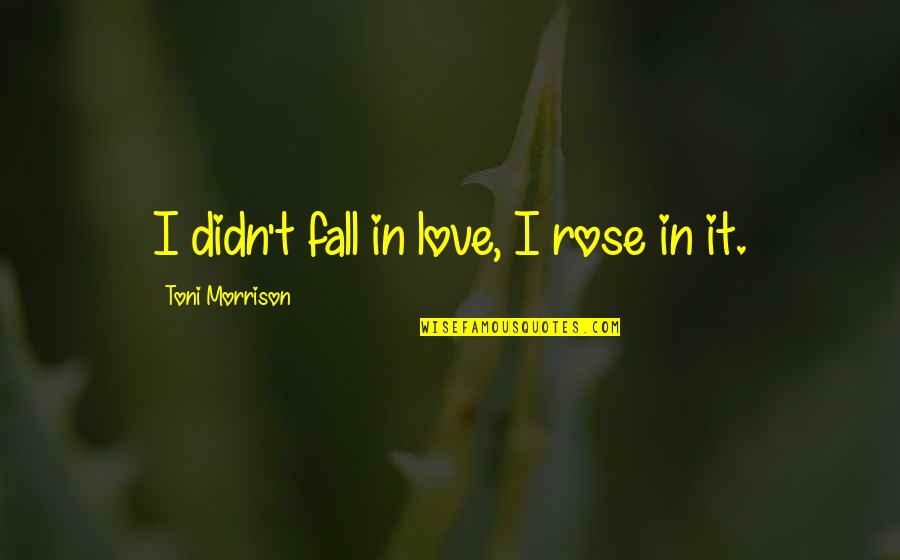 Quiso Jugar Quotes By Toni Morrison: I didn't fall in love, I rose in Quiso Jugar Quotes By Toni Morrison: I didn't fall in love, I rose in