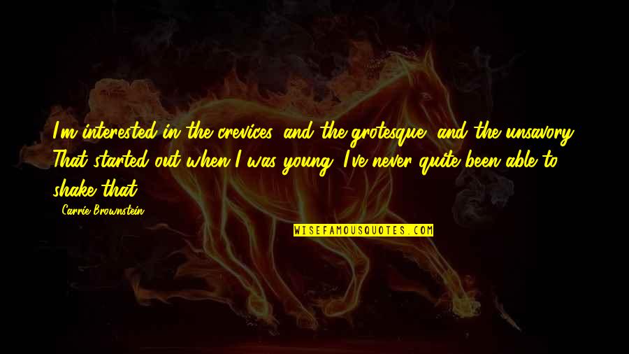 Quit Quotes By Carrie Brownstein: I'm interested in the crevices, and the grotesque, Quit Quotes By Carrie Brownstein: I'm interested in the crevices, and the grotesque,