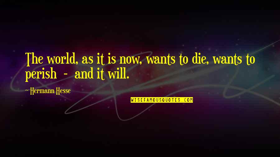 Quitandose Ropa Quotes By Hermann Hesse: The world, as it is now, wants to