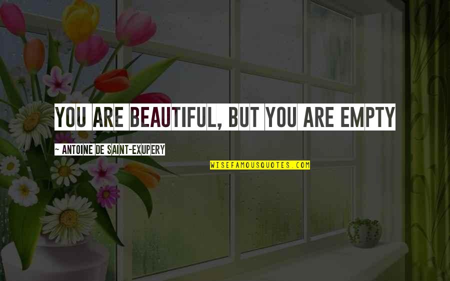 Quitter Never Wins Quotes By Antoine De Saint-Exupery: You are beautiful, but you are empty