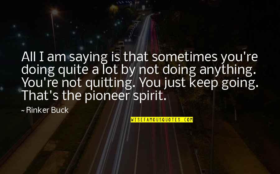 Quitting Life Quotes By Rinker Buck: All I am saying is that sometimes you're