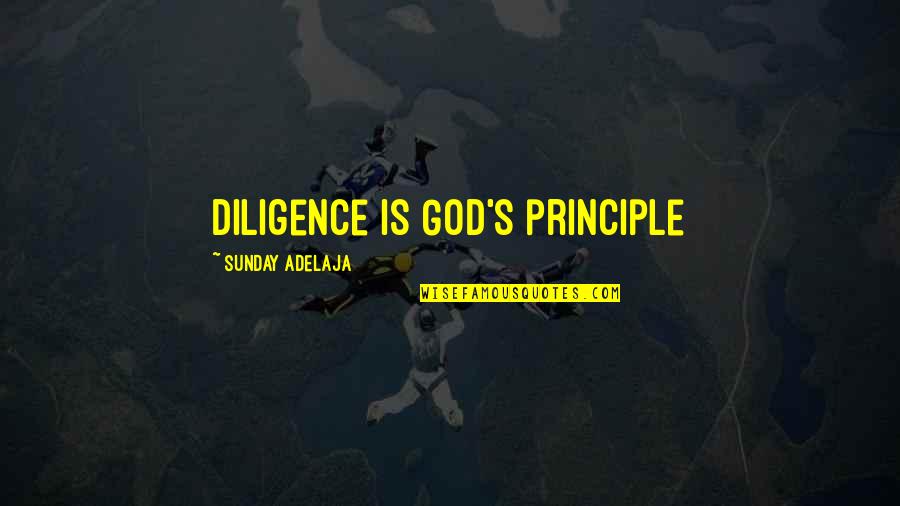 Quitting My Job Quotes By Sunday Adelaja: Diligence is God's principle