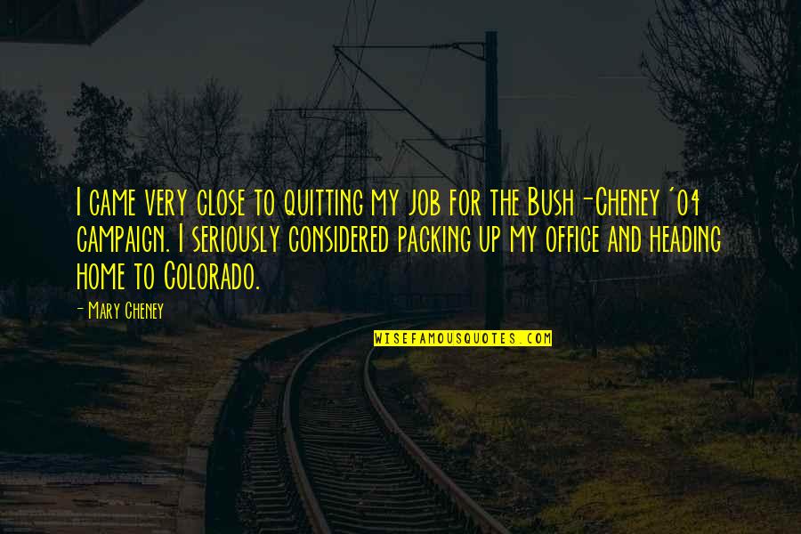 Quitting's Quotes By Mary Cheney: I came very close to quitting my job