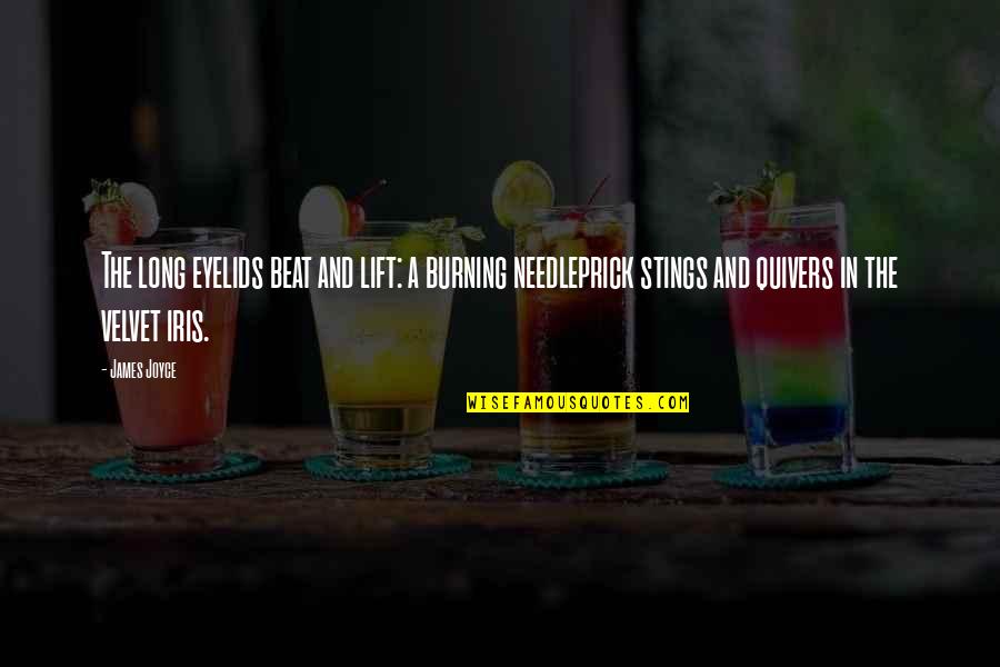 Quivers Inc Quotes By James Joyce: The long eyelids beat and lift: a burning