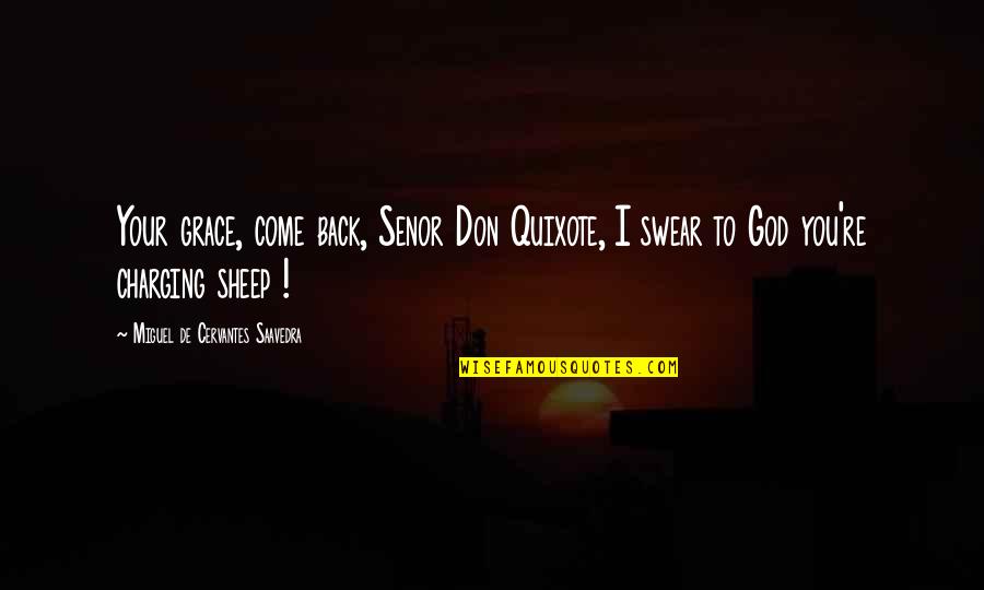 Quixote Quotes By Miguel De Cervantes Saavedra: Your grace, come back, Senor Don Quixote, I