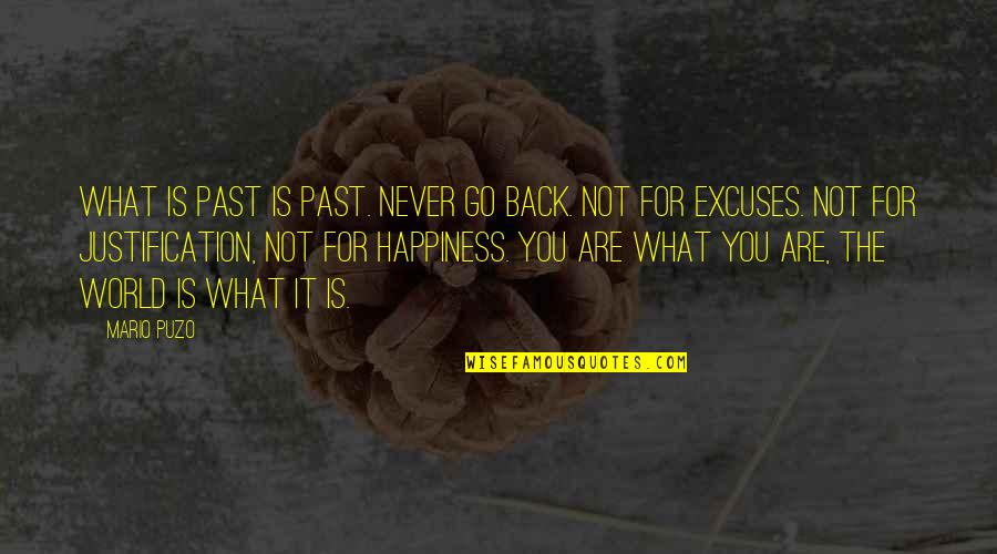 Quiz Shows Quotes By Mario Puzo: What is past is past. never go back.